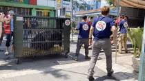 Năm mới “khởi sắc” cho nỗ lực chấm dứt nuôi nhốt gấu