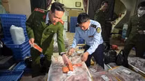 Phát hiện 1 tấn ức vịt, cánh gà không rõ nguồn gốc