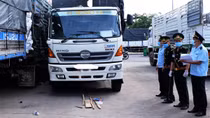 Kiểm tra, giám sát hàng hóa xuất, nhập khẩu tại khu vực cửa khẩu Khánh Bình