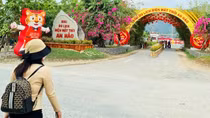 Từ phản ánh của báo chí, An Giang dừng hoạt động 2 điểm du lịch sai phạm