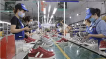 Doanh nghiệp tận dụng tốt các FTA