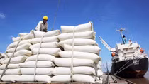 Gia tăng xuất khẩu gạo sang thị trường ASEAN
