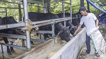 Vốn ưu đãi giúp người dân vùng cao vươn lên thoát khó