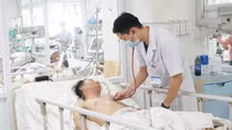 5 người nhập viện vì nhậu ấu trùng ve sầu