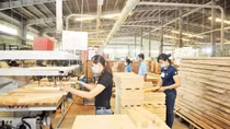 Hỗ trợ doanh nghiệp nhỏ, siêu nhỏ vào thị trường EU