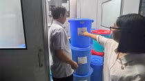 Đường dây sản xuất tân dược giả “khủng” hoạt động như thế nào?