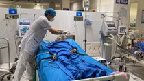 Uống mật cá trắm, 8 người bị ngộ độc nặng