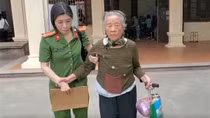“Bông hoa ban” Tây Bắc khoe sắc giữa Thủ đô