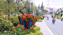 Sắc cầu vồng Cam Ly