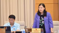 Đề nghị giao Uỷ ban Quốc phòng và An ninh tái giám sát về phòng cháy, chữa cháy