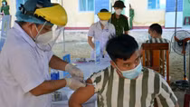 Gần 560 can, phạm nhân tại Quảng Nam được tiêm vaccine phòng COVID-19