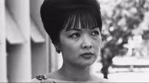Về cuốn ''Đệ nhất phu nhân'' của Hoàng Trọng Miên