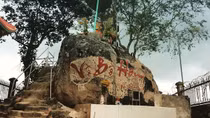 Hồ sơ vụ án “Đạo đâm giả cọp thần” trên Thiên Cấm Sơn