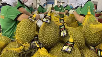 Ban hành Chương trình hành động thực hiện Chiến lược xuất nhập khẩu hàng hóa đến năm 2030