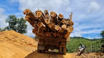 Nhiều thủ đoạn tinh vi trong vụ "cạo sạch rừng đầu nguồn"