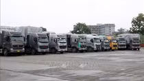 Thành lập ngay nhóm công tác giải quyết ách tắc hàng hóa tại cửa khẩu với Trung Quốc