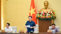 Trình Quốc hội nghị quyết thí điểm đấu giá biển số ô tô