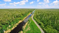 “Ngân hàng Carbon Thế giới” là gì?
