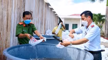 Tiêu hủy gần 5,3 triệu con tôm giống chưa qua kiểm dịch