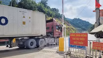 Nâng cao năng lực xuất khẩu hàng nông sản sang Trung Quốc