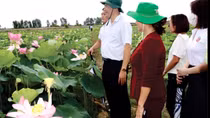 Đồng Tháp lần đầu tiên tổ chức Lễ hội Sen