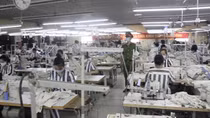 Xem xét thí điểm đưa phạm nhân ra lao động ngoài trại giam