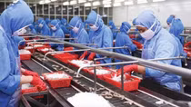 Cơ hội xuất khẩu từ các hiệp định thương mại tự do thế hệ mới