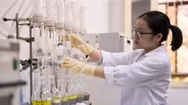Ươm tạo nhà khoa học trẻ cho đất nước đến năm 2030