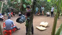 Triệt phá ổ đá gà ngày Tết