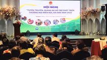 Quảng bá hỗ trợ phát triển thương mại miền núi, hải đảo