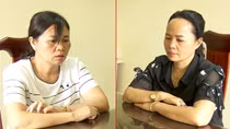 Khởi tố bị can đối với 5 đối tượng thông đồng trong đấu giá đất