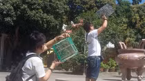 Để hoạt động phóng sinh thật sự có ý nghĩa