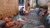 Yêu cầu luộc chín gia cầm, tiêu huỷ thịt gia súc ở lò mổ không phép