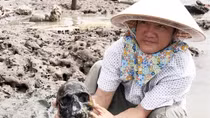 Sóng biển đánh sạt đường giao thông, lộ ra 12 bộ hài cốt