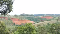 Tan hoang núi rừng vì đua nhau xẻ núi, bạt đồi “săn view”