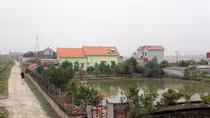 Bí ẩn bãi cọc gỗ bên dòng sông Thương