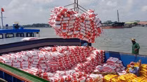 Khai thác thế mạnh đường thủy vùng châu thổ Cửu Long