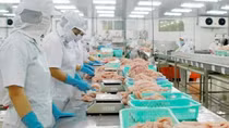 Doanh nghiệp lưu ý khi xuất khẩu vào các thị trường khó tính