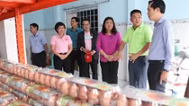Ra mắt kho lưu trữ thực phẩm cho người khó khăn tại khu vực đồng bằng sông Cửu Long