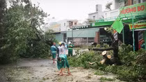Những người lặng thầm sau cơn bão