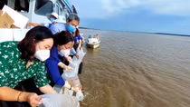 Thả 4,3 triệu con tôm, cua giống ra biển