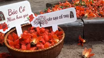 Khai trương tour “Bác Cổ - Mùa hoa gạo” hưởng ứng sự kiện mở cửa hoàn toàn du lịch Việt Nam