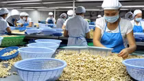 Thu nhập bình quân đầu người giảm năm thứ 3 liên tiếp