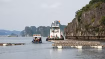 Quảng Ninh: Khai trừ Đảng 4 cán bộ, nhân viên nhận hối lộ