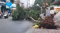 TP Hồ Chí Minh: Một số khu vực xuất hiện mưa đá lúc giữa trưa