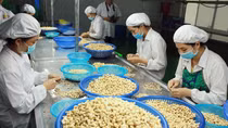Hỗ trợ mạnh mẽ cho doanh nghiệp xuất khẩu