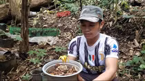 Sâm Ngọc Linh chết hàng loạt, người dân lâm cảnh nợ nần