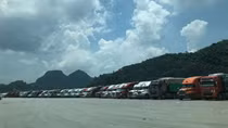 Tạo thuận lợi cho doanh nghiệp xuất nhập khẩu