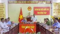 Vì sao chưa thực hiện Nghị định cho phép cá cược thể thao, đua chó, ngựa?