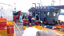 "Xông biển" đầu năm